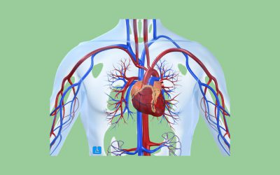 Human Physiology Training Lab